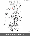 12640445-2.webp
