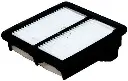 110-P00-CIT