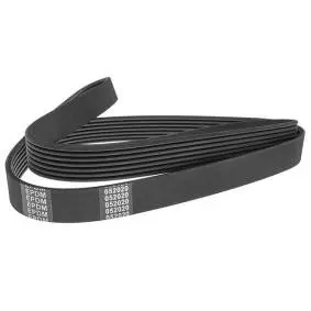 [6PK2585] 123-P10-6PK