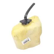 [164700H040/3062] 141-001-CAM