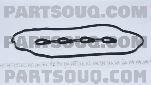 [MN137773] 100-LP0-PAJ